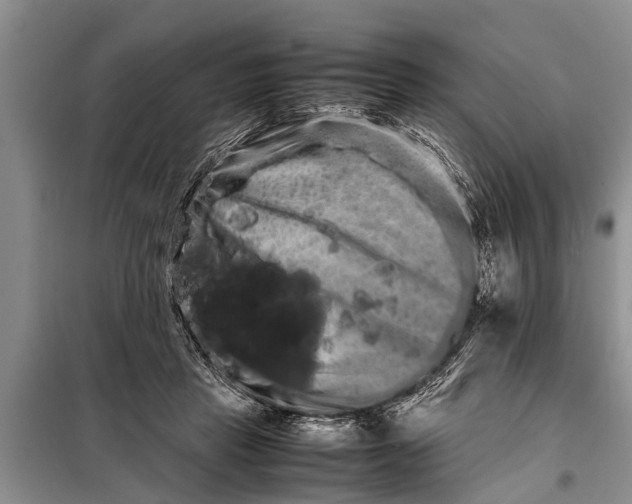 X0000097960453200804071035