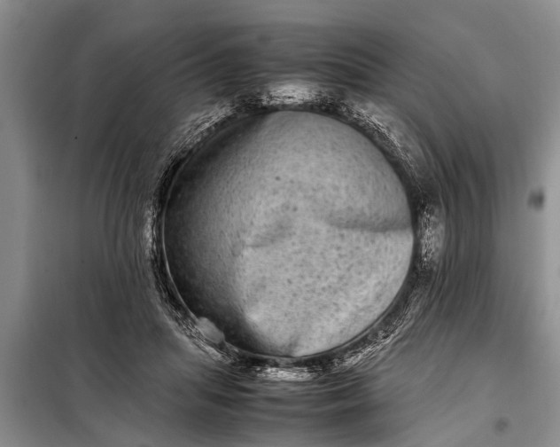 X0000097960455200804071035