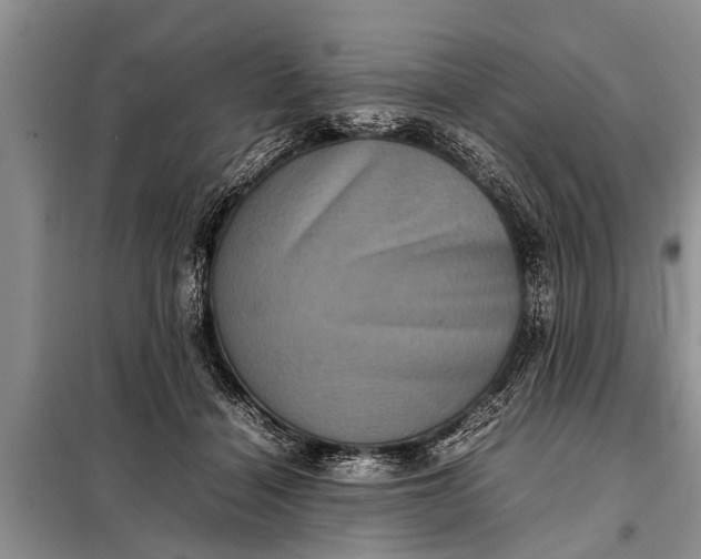 X0000097960460200804071035