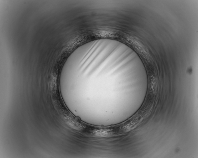 X0000097960461200804071035