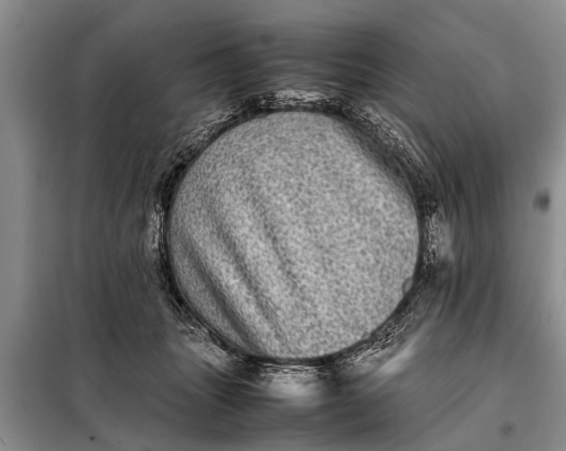 X0000097960463200804071035