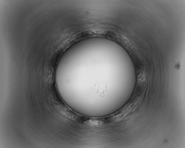 X0000097960464200804071035