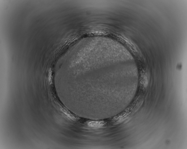 X0000097960465200804071035