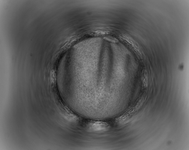 X0000097960467200804071036