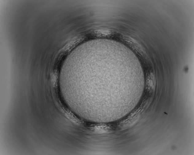 X0000097960468200804071036