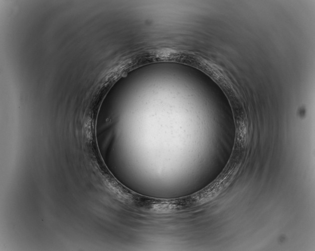X0000097960470200804071036