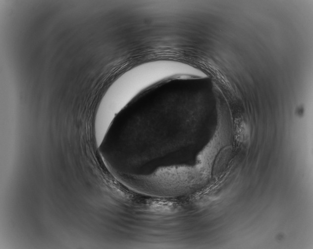 X0000097960471200804071036