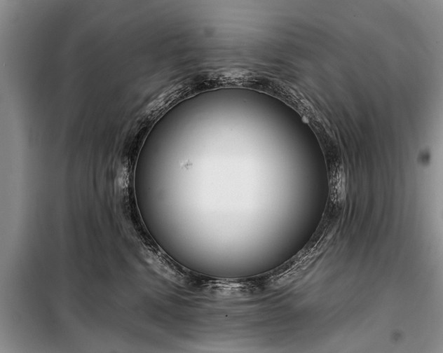 X0000097960472200804071036