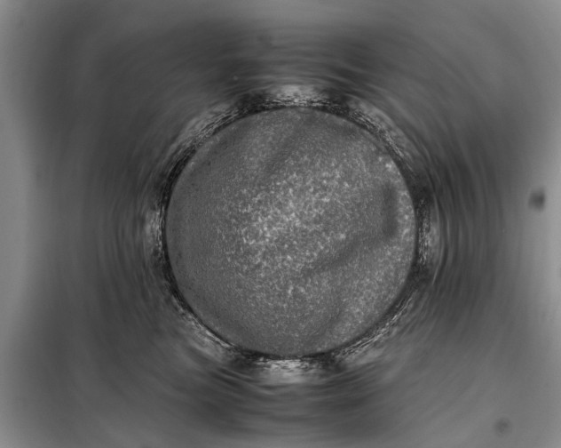 X0000097960473200804071036