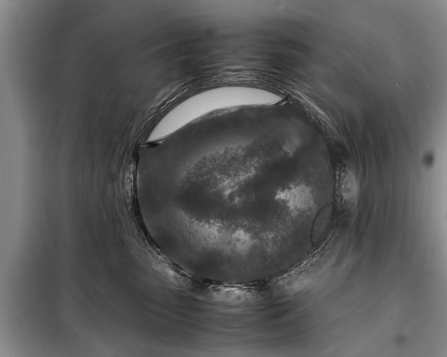 X0000097960475200804071036