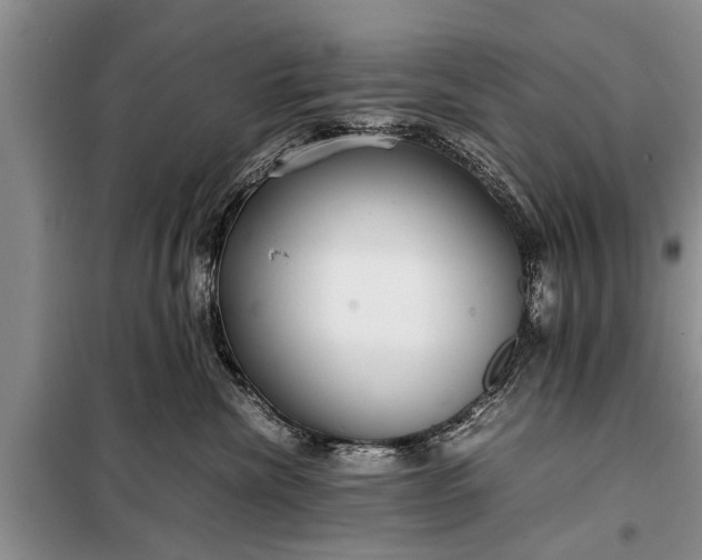 X0000097960476200804071036