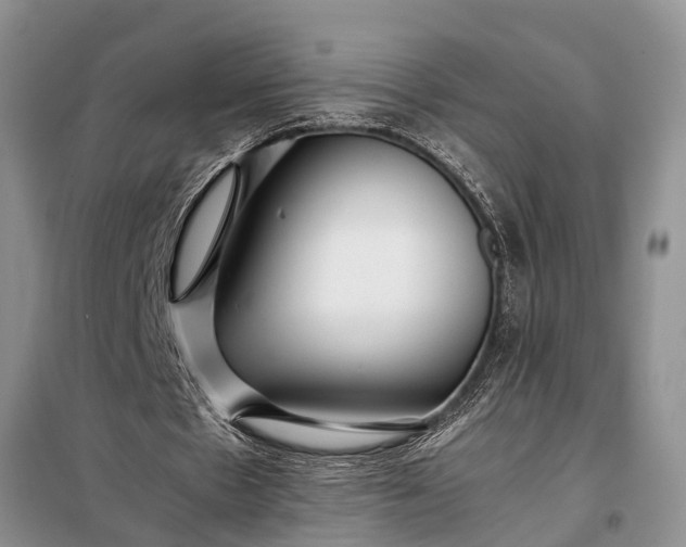X0000097960481200804071035
