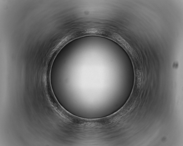 X0000097960482200804071035