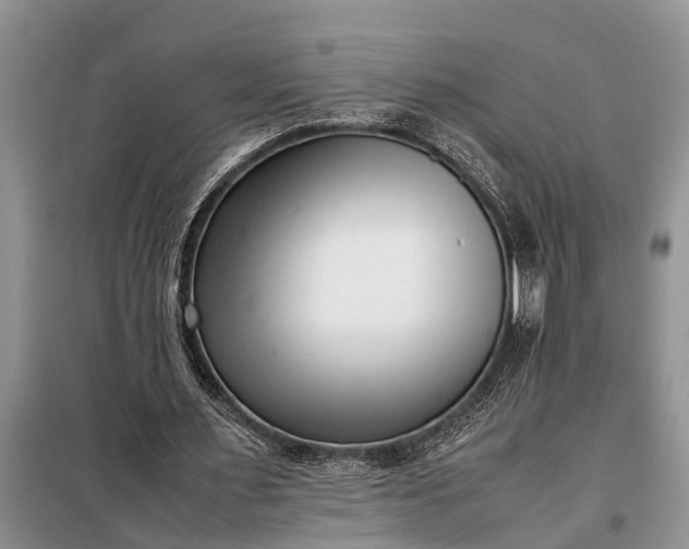 X0000097960483200804071035