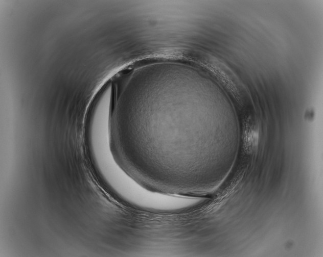 X0000097960484200804071035