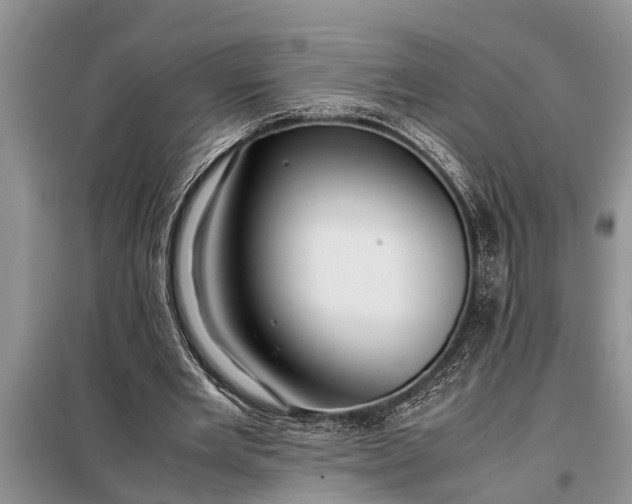 X0000097960485200804071035