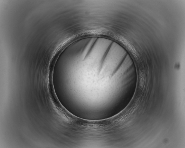 X0000097960486200804071035