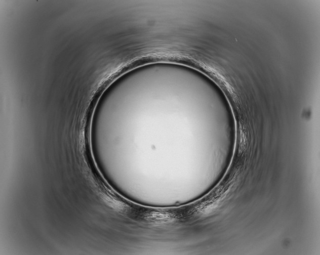 X0000097960487200804071035
