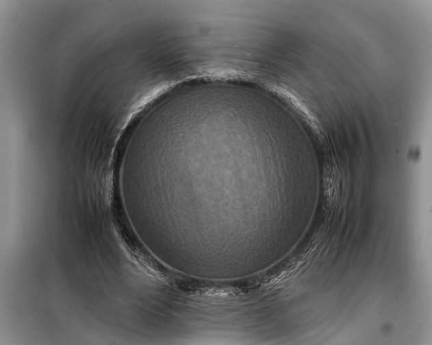 X0000097960488200804071035