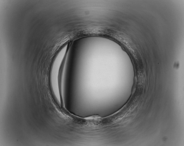 X0000097960489200804071035