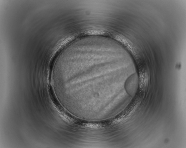 X0000097960490200804071035