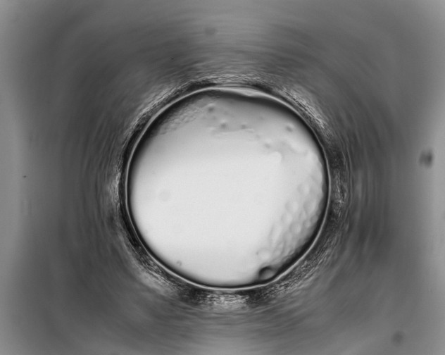 X0000097960491200804071035