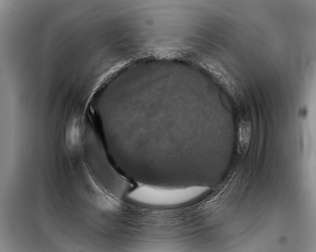X0000097960492200804071035