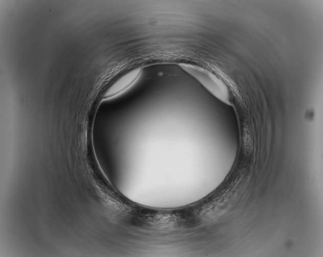 X0000097960493200804071035
