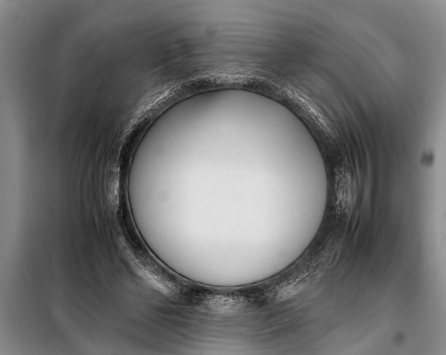 X0000097960494200804071035