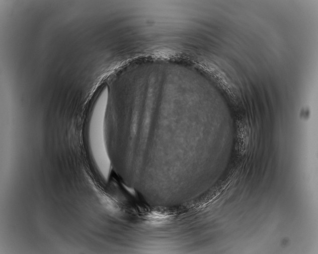 X0000097960496200804071035