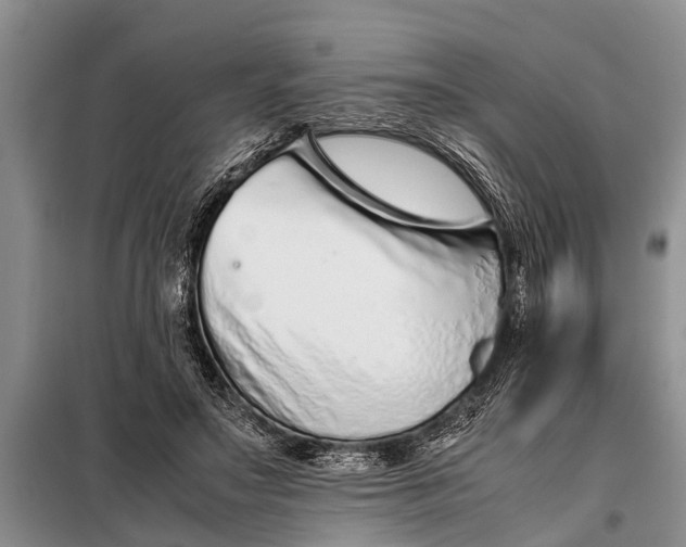 X0000097960499200804071035