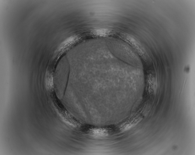 X0000097960500200804071035