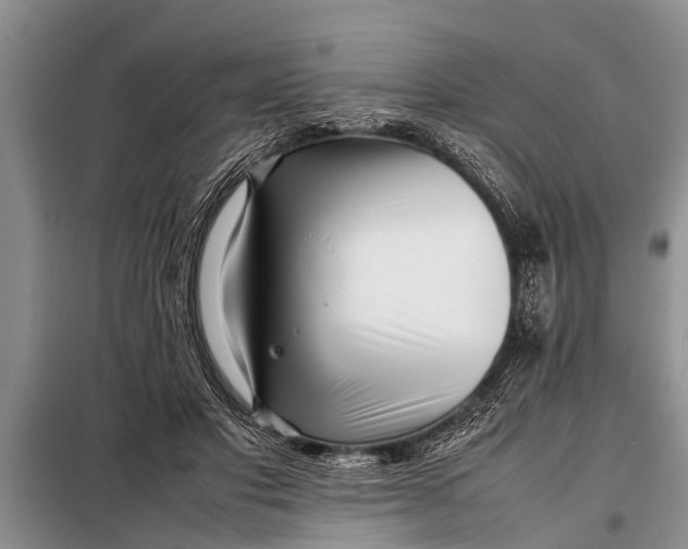 X0000097960501200804071035