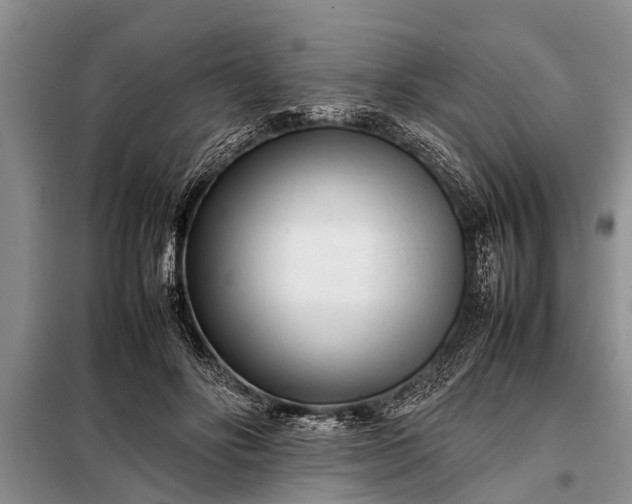X0000097960502200804071035