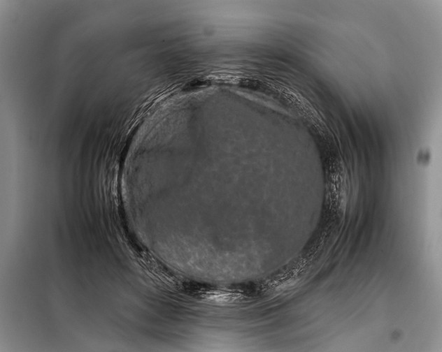 X0000097960504200804071035