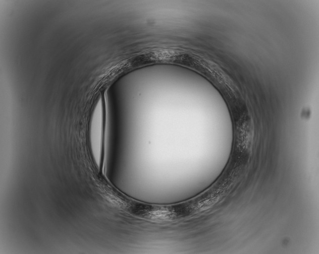 X0000097960505200804071035