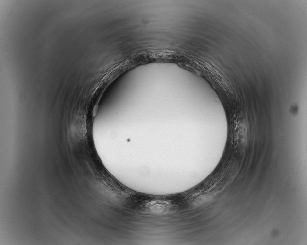 X0000097960508200804071034