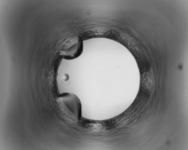 X0000097960509200804071034