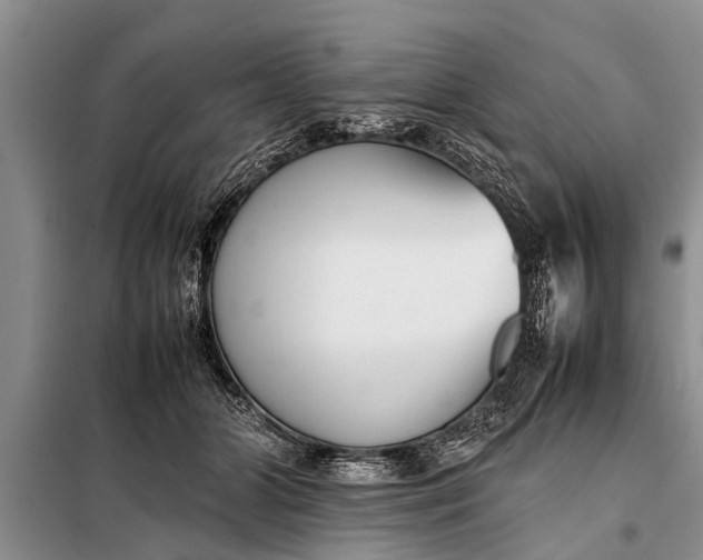 X0000097960510200804071034