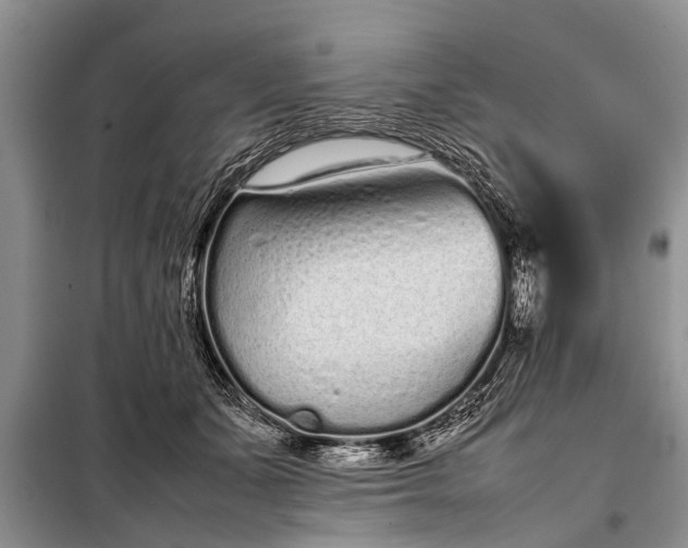 X0000097960511200804071034