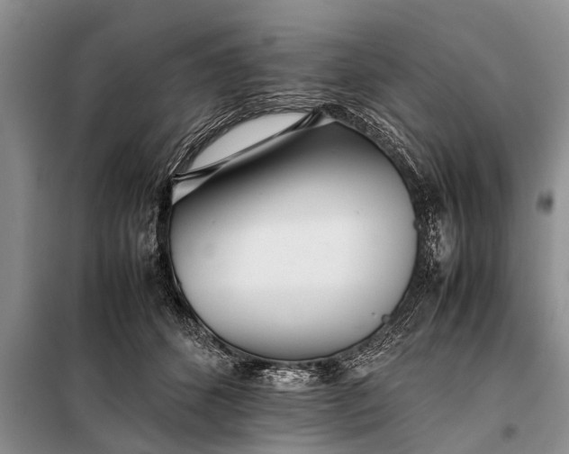 X0000097960512200804071034