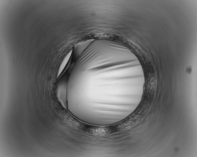 X0000097960513200804071034