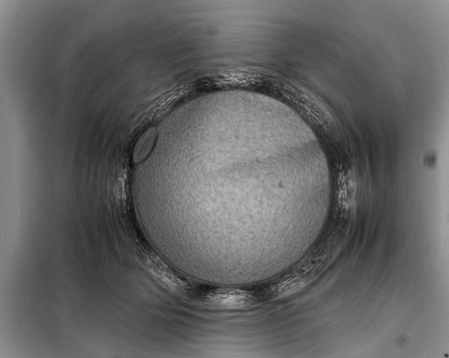 X0000097960514200804071034