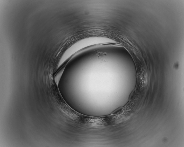 X0000097960516200804071034