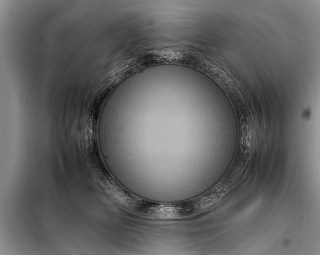 X0000097960518200804071034