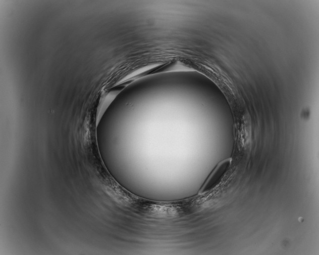 X0000097960520200804071034