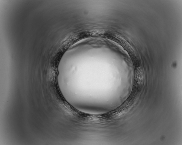 X0000097960523200804071034