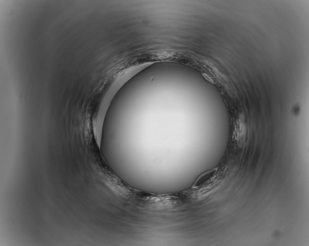 X0000097960524200804071034