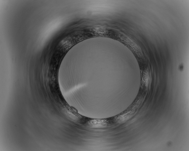 X0000097960526200804071034