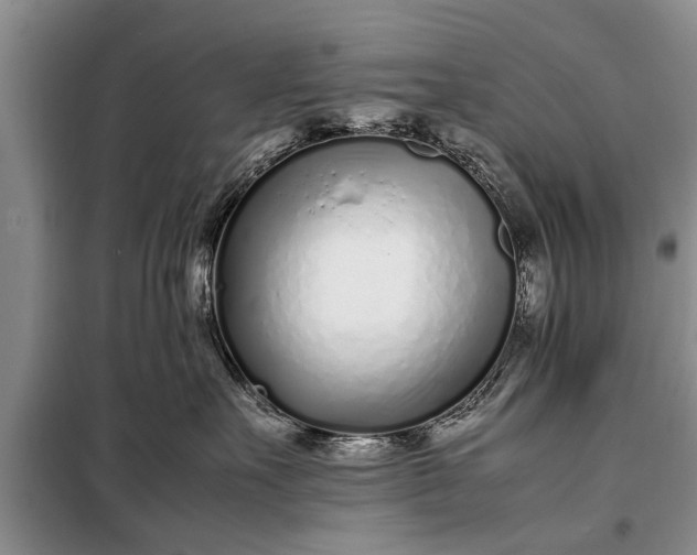 X0000097960527200804071034
